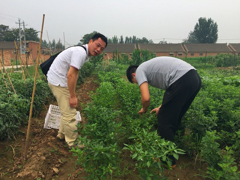 好利來郭總喊您來摘菜啦！綠色無公害，放心！